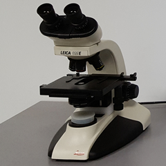 Análisis de muestras de porcino